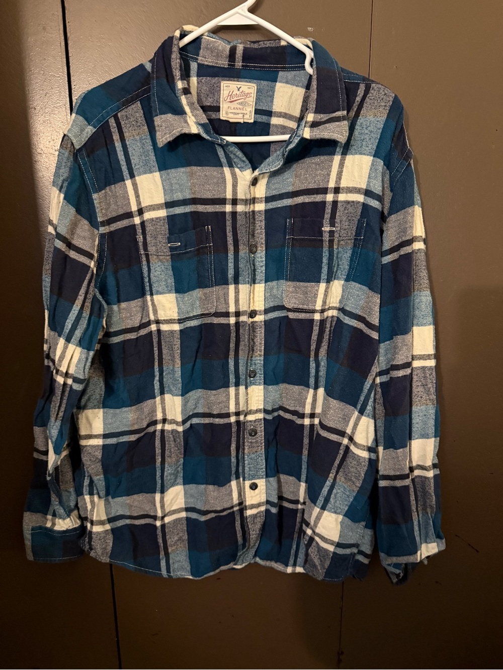 American Eagle Outfitters Blue and White Plaid Button-Down Shirt